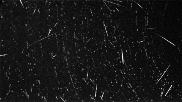 Meteor Composite - January 19, 2026