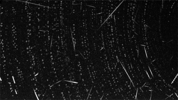 Meteor Composite - March 8, 2026